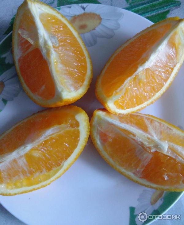 Апельсины Диета Отзывы