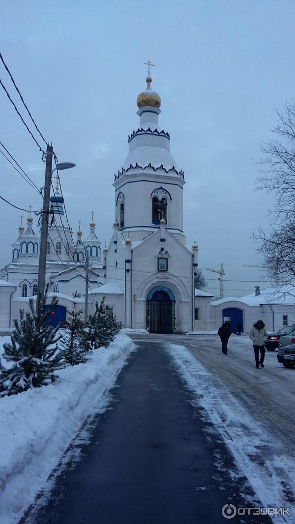 Богородичный Пантелеимонов Щегловский епархиальный мужской монастырь (Россия, Тула) фото
