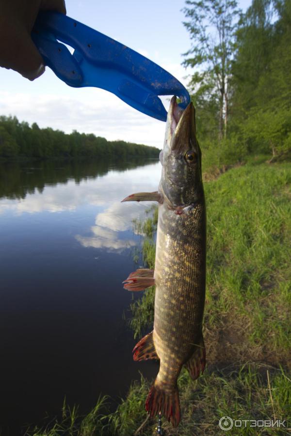 Захват для рыбы (липгрип) Rapala 15 см – обзор и отзывы