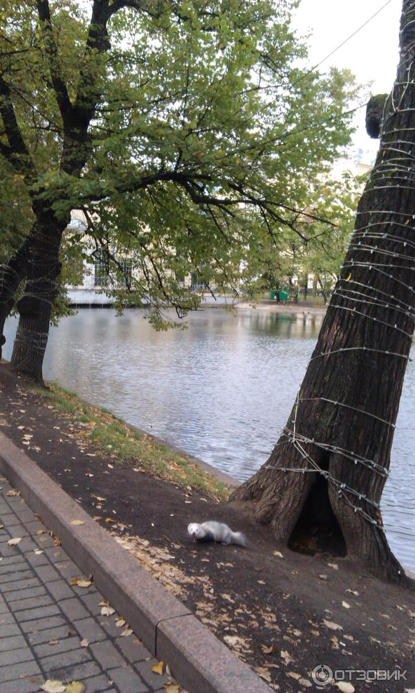 Парк Чистые пруды (Россия, Москва) фото