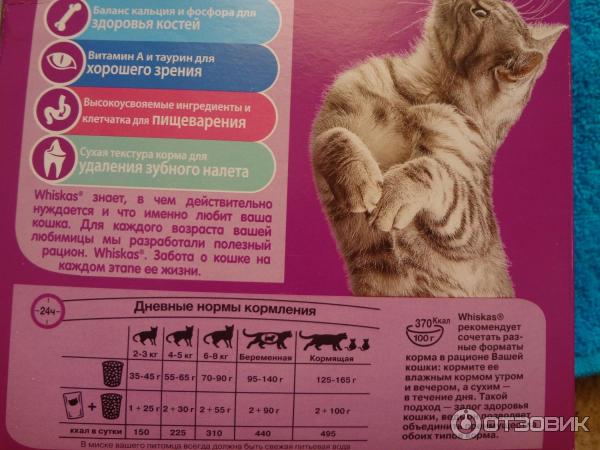 Можно кормить котят сухим кормом. Корм для двухмесячных котят. Норма еды для котов вискас. Режим питания кота. Норма корма для котенка 2 месяца.