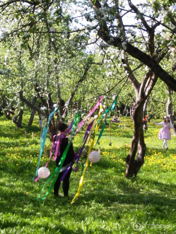 Яблоневый сад в Коломенском (Россия, Москва) фото
