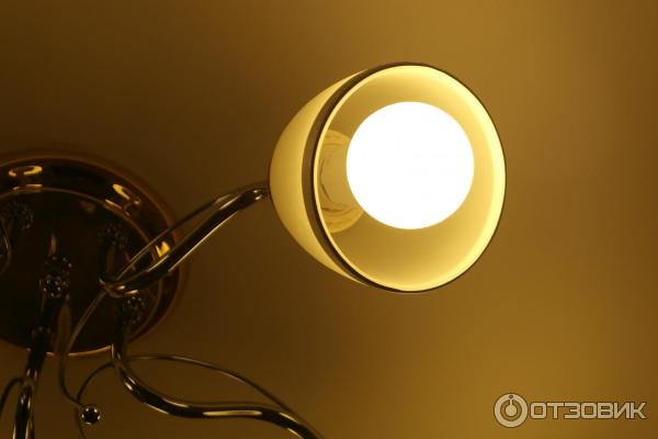 Светодиодная лампа Онлайт фото