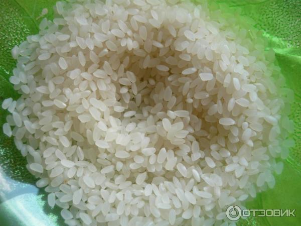 годы риса и соли купить