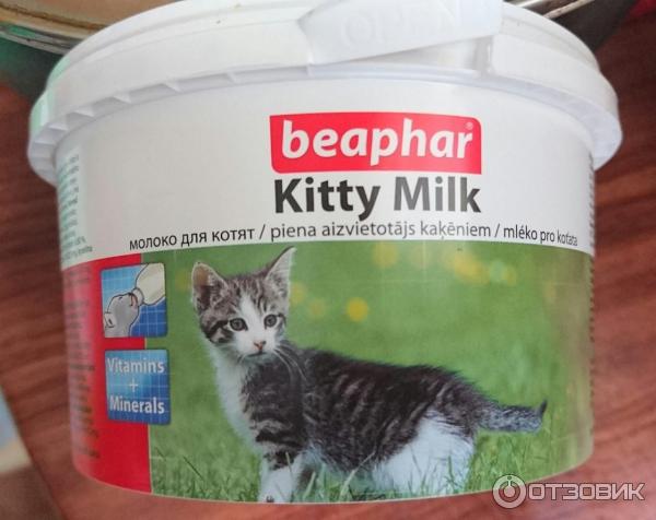 Сухое молоко для котят Beaphar Kitty Milk фото.