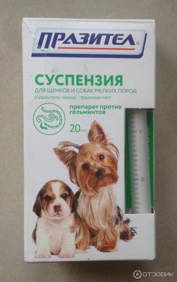 Как проглистогонить собаку. Препарат от глистов для щенков от 1 месяца. Таблетки для дегельминтизации собак. Глистогонное для щенков. Глистогонные препараты для собак.