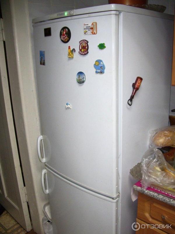 Отзыв о Холодильник Бирюса 226 С-3 | Не очень.