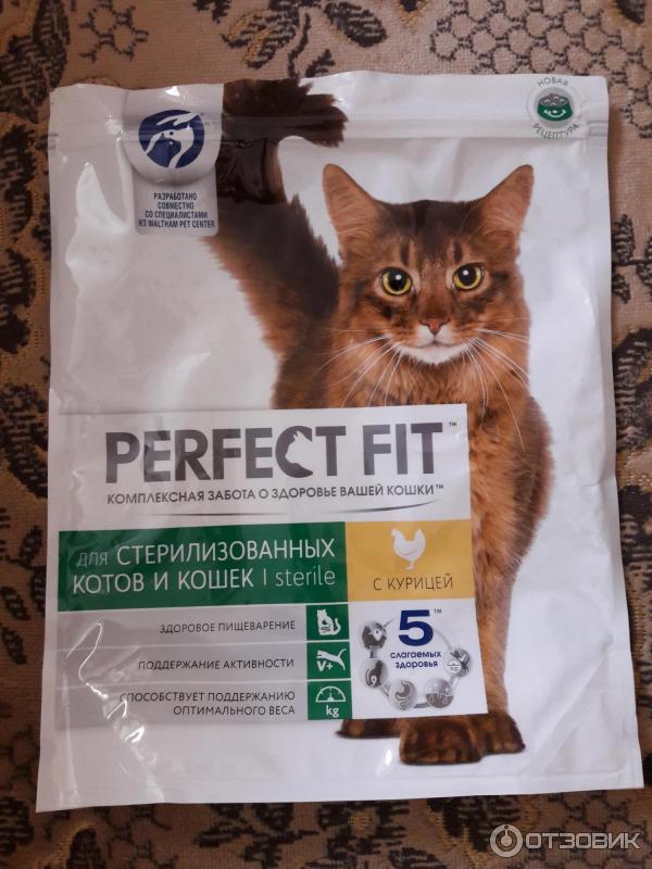 Можно ли коту корм для стерилизованных кошек
