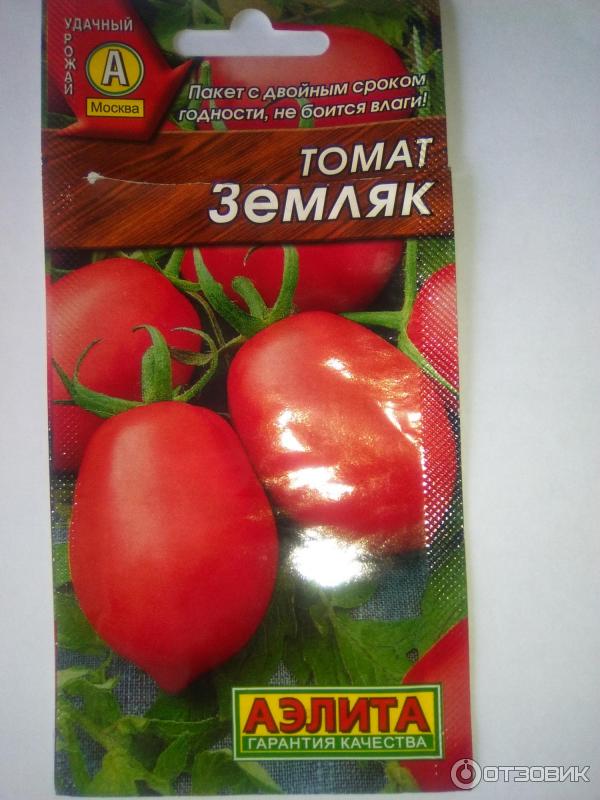 аэлита семена помидоры